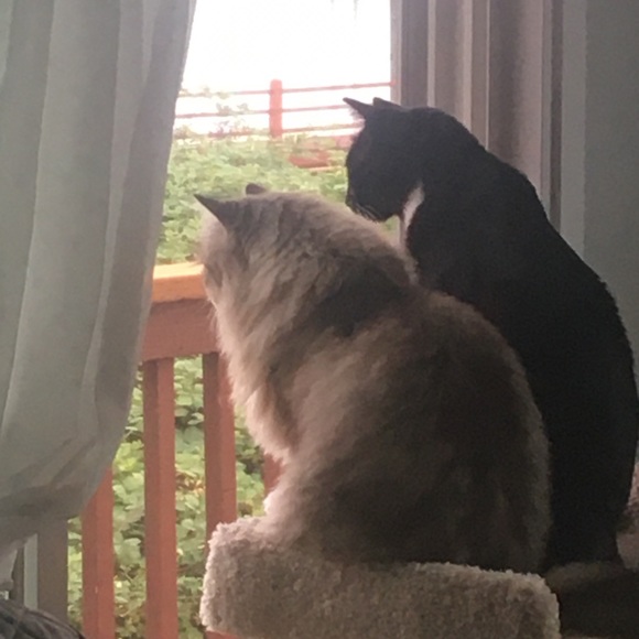 Meet your Posher, Karen - Picture 3 of 7